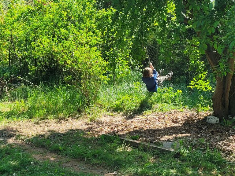 malve - Kinder und Jugendhilfe